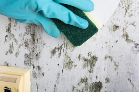 Cleaning and disinfection of Stains