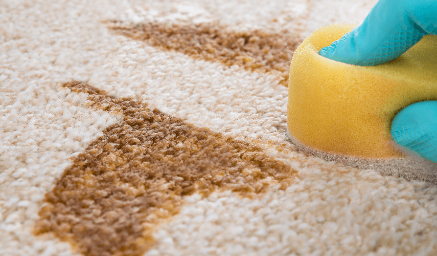 Limpieza y desinfección de manchas para su hogar